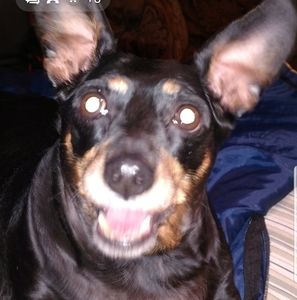 Meet your Posher, Frank